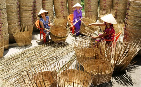 Báo động nguy cơ cạn kiệt nguyên liệu mây tre