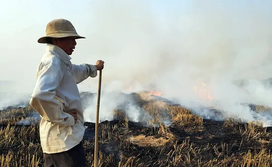 Hệ lụy nguy hiểm từ thực trạng đốt rơm rạ tràn lan