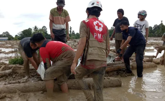 Lũ quét nghiêm trọng tại Indonesia, đã có 21 người thiệt mạng