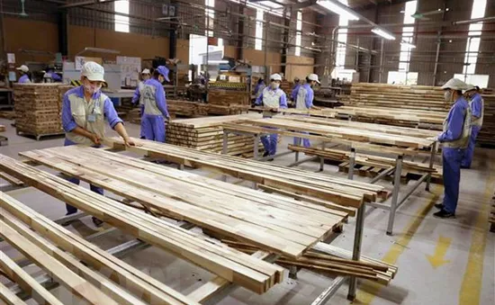 Đột ngột bị áp thuế 25%, gỗ ghép thanh ùn tắc tại nhiều cảng biển