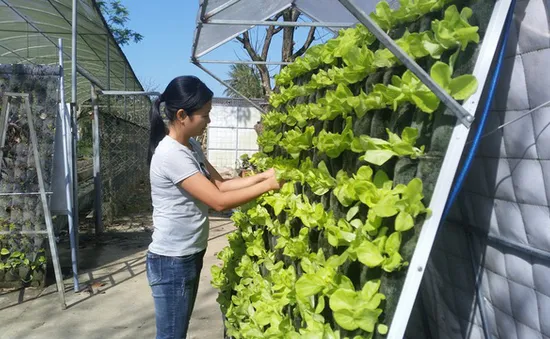 Những phụ nữ tiên phong trong thực hành sống xanh, biến rác thải thành tiền