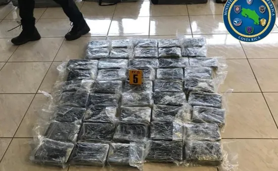 Phát hiện và thu giữ hơn 1 tấn cocaine giấu trong container chở dứa tại Costa Rica