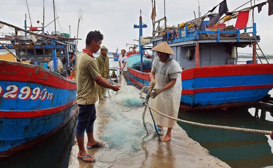 Bão số 5 đã ảnh hưởng đến đất liền Trung Bộ, mưa và gió đang mạnh dần