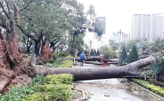 Hiện tượng La Nina quay trở lại, gây bão dồn dập từ nay đến cuối năm