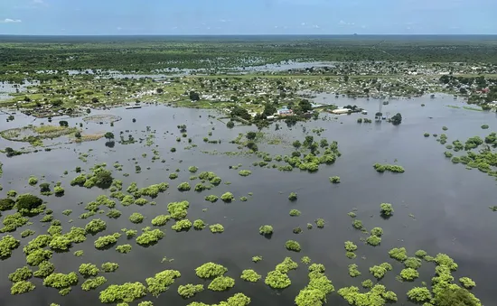 Lụt lội và bệnh dịch tàn phá Nam Sudan