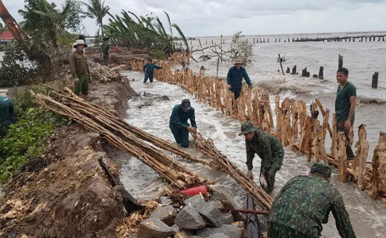 Sạt lở nghiêm trọng, thân đê biển Tây cao hàng mét bị xói tới gốc