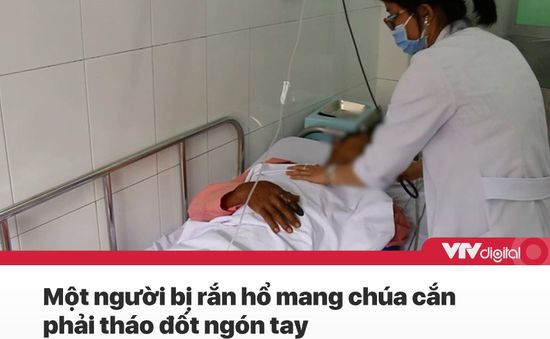 Tin nóng đầu ngày 29/9: Tháo đốt ngón tay vì bị rắn hổ mang chúa cắn