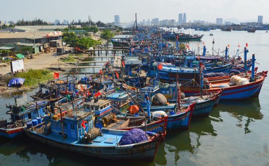 Làm gì trong giai đoạn nước rút để gỡ ‘thẻ vàng’ thủy sản?