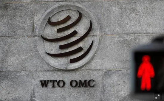 WTO ủng hộ EU đánh thuế hàng hóa Mỹ do trợ cấp máy bay