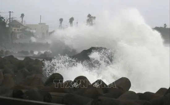 Bão Maysak gây mất điện trên diện rộng, gián đoạn nhiều chuyến bay tại Nhật Bản