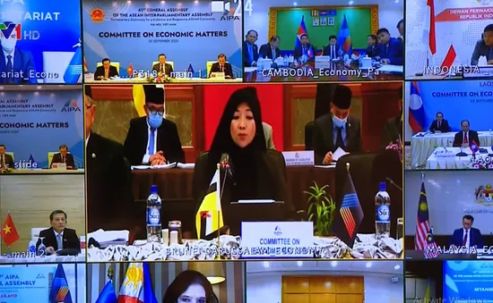 “AIPA phải đóng vai trò quan trọng trong thúc đẩy phục hồi kinh tế khu vực”