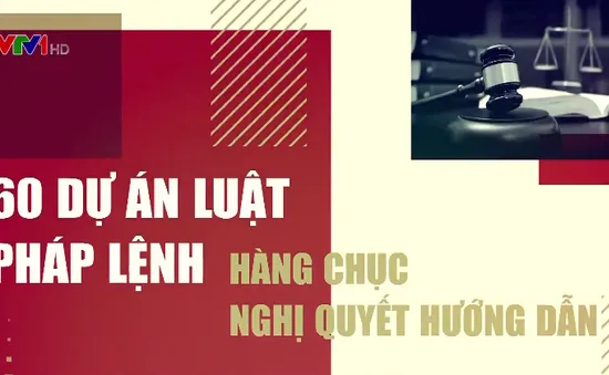 Hệ thống tòa án đẩy mạnh cải cách tư pháp, nâng cao chất lượng xét xử