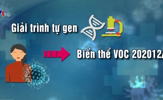 Ca mắc COVID-19 biến thể mới tại Việt Nam được điều trị như thế nào?