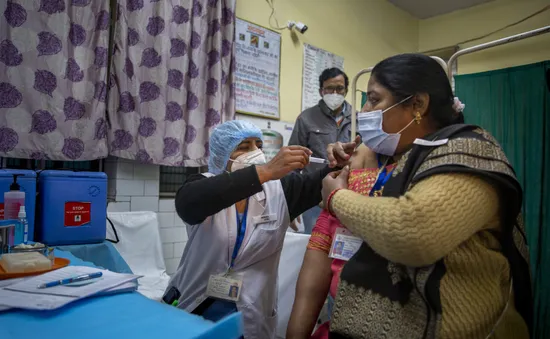 Ấn Độ phê duyệt cùng lúc 2 vaccine và sẽ tiêm chủng miễn phí