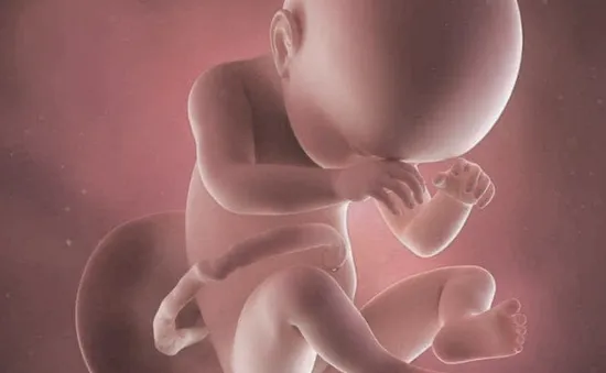 Phát hiện tế bào ung thư truyền từ mẹ sang con qua nước ối