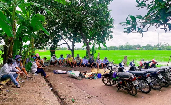 Bạc Liêu: Bắt quả tang 17 đối tượng đang tổ chức đá gà ăn tiền