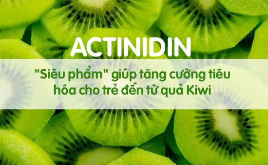 Actinidin - "Siêu phẩm" giúp tăng cường tiêu hóa cho trẻ đến từ quả Kiwi
