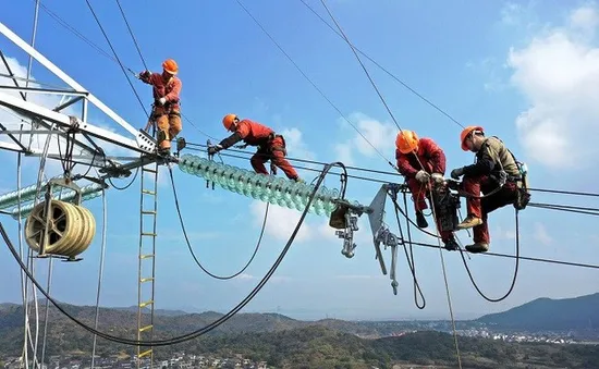 Khủng hoảng điện ở Trung Quốc: "Thiên nga đen" hay "tê giác xám"?