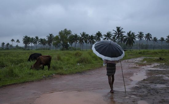 Lũ lụt, lở đất nghiêm trọng khiến ít nhất 25 người thiệt mạng ở Tây Nam Ấn Độ