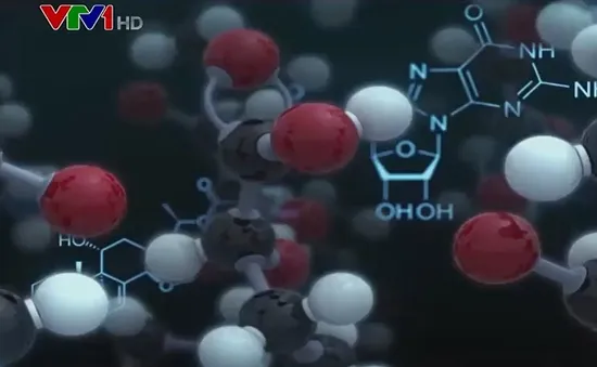 Tiềm năng ứng dụng của giải Nobel Hóa học 2021