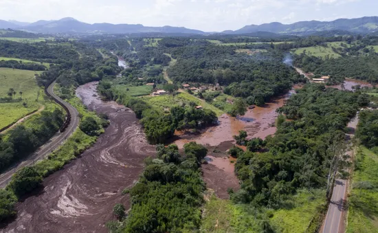 Cảnh sát Brazil cáo buộc nhóm thợ mỏ tội giết người, phá hoại môi trường trong thảm họa vỡ đập