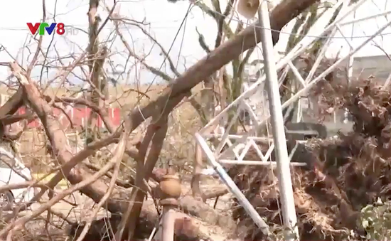 Hơn 200 người thiệt mạng do bão Rai tại Philippines