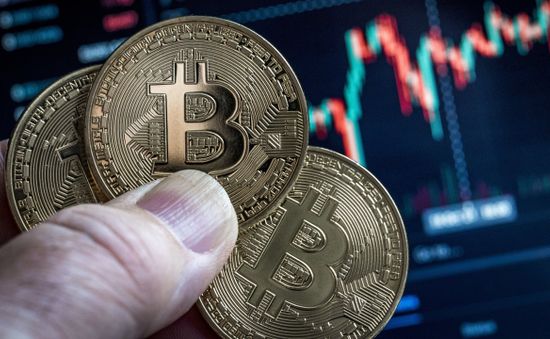 Chiếc ví bí ẩn chứa 321 Bitcoin “sống lại” sau 8 năm “ngủ đông”