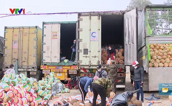 Ùn ứ ở cửa khẩu, nhiều container mít quay đầu bán rẻ như cho