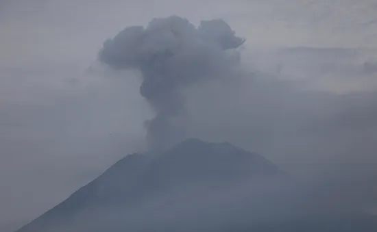 Núi lửa Semeru ở Indonesia phun trào: Số nạn nhân thiệt mạng tăng lên 13 người