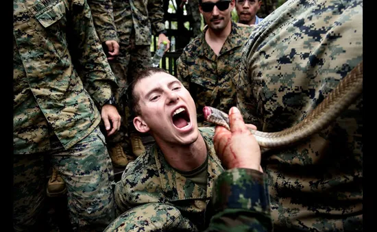 "Ăn tươi, nuốt sống" động vật hoang dã liên quan đến nguy cơ xuất hiện đại dịch mới