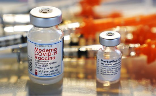 Mỹ phê chuẩn việc bảo quản vaccine của Pfizer ở nhiệt độ đông lạnh thông thường