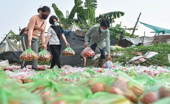 Giải cứu nông sản vùng dịch: Triệu trái tim hướng về Hải Dương