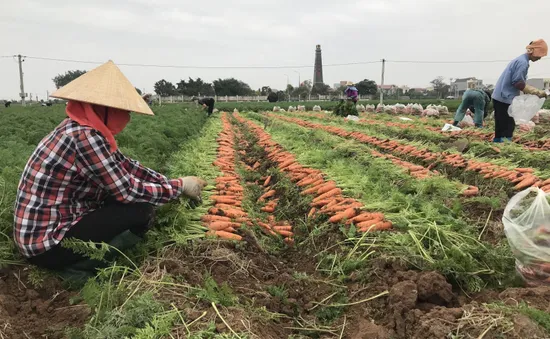 Hỗ trợ tiêu thụ nông sản, thực phẩm từ vùng dịch