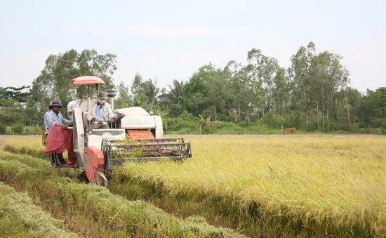 Nghị quyết 120: Hóa giải thách thức, thay đổi tư duy sản xuất của người dân ĐBSCL