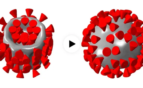 Sóng siêu âm có thể tiêu diệt virus SARS-CoV-2?