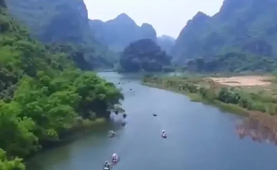 Rừng vối cổ thụ giữa Tràng An