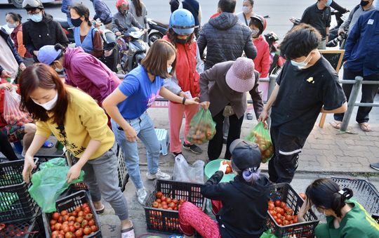 Giải cứu nông sản: Lời giải khó cho bài toán cũ!