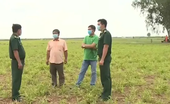 Đồng Tháp: Người dân chung tay ngăn chặn xuất nhập cảnh trái phép