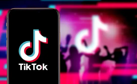 TikTok thông báo chiến dịch gỡ hàng triệu tài khoản