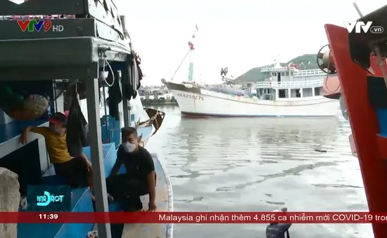 Kiểm soát dịch Covid-19 đối với tàu cá vãng lai
