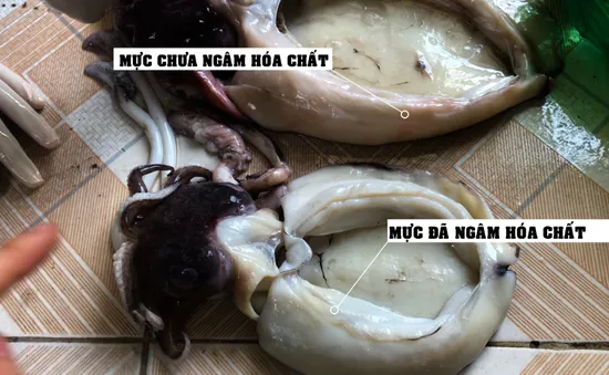 Chuyển động 24h lật tẩy "công nghệ" tẩy trắng mực thối bằng hóa chất