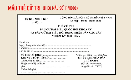 [Infographic] Thẻ cử tri - “tấm vé” để thực hiện quyền bầu cử