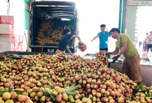 Bộ Công Thương hỗ trợ Bắc Giang đẩy mạnh tiêu thụ nông sản