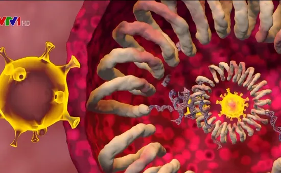 Biến chủng mới có thể "cắm" vào bất cứ nơi nào trong cơ thể, lây lan nhanh và nguy hiểm hơn