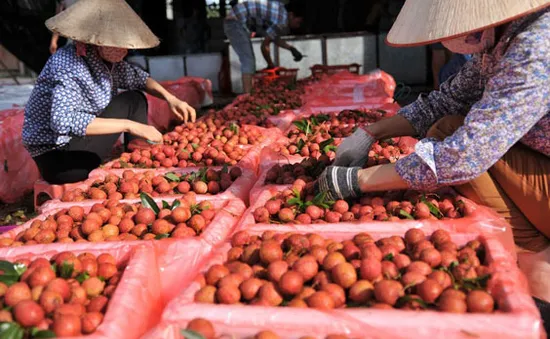 Tạo cơ chế hợp tác giữa các bên thúc đẩy tiêu thụ nông sản