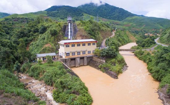 NED tạm ứng cổ tức bằng tiền, hướng tham vọng sang bất động sản