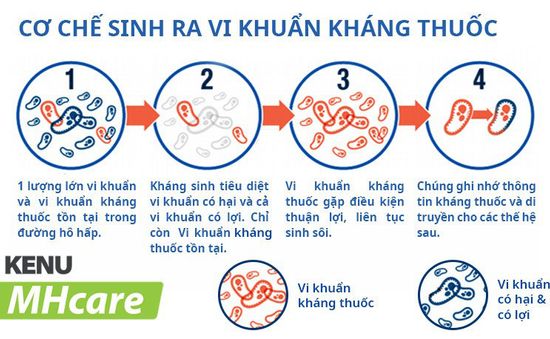 KENU MHcare - Bước tiến đột phá hỗ trợ điều trị viêm mũi dị ứng, viêm xoang, viêm amidan