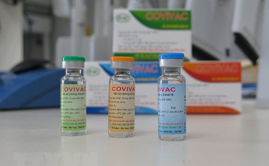 Chuẩn bị thử nghiệm lâm sàng vaccine COVIVAC giai đoạn 2