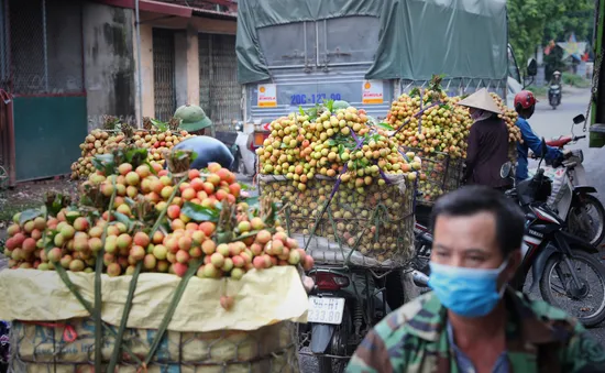 Bắc Giang tổ chức hội nghị trực tuyến tiêu thụ vải thiều