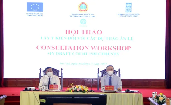 Tòa án nhân dân tối cao đã công bố 43 án lệ, xây dựng 11 dự thảo án lệ